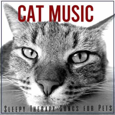 Complete Awareness ft. Cat Music Dreams & Cat Music Therapy