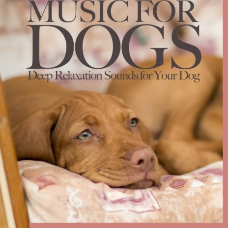 Paws for Reflection ft. Relaxmydog & Pet Music Therapy