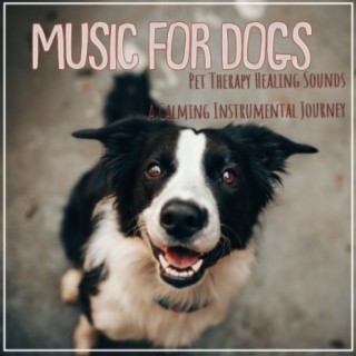 Music For Dogs: Pet Therapy Healing Sounds A Calming Instrumental Journey