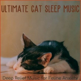 Ultimate Cat Sleep Music: Deep Relief Music for Feline Anxiety