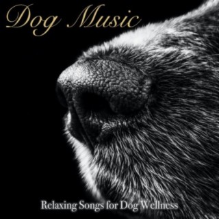 Dog Music: Relaxing Songs for Dog Wellness