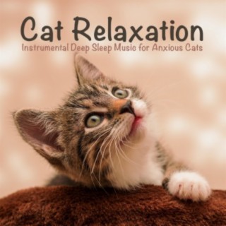 Cat Relaxation: Instrumental Deep Sleep Music for Anxious Cats