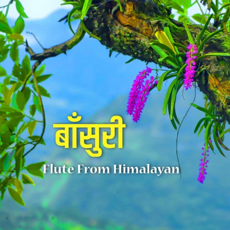 Morning Flute Music || बाँसुरी || Bamboo Flute || Mountain Flute || Himalayan Flute Music Ep. 103 | Boomplay Music