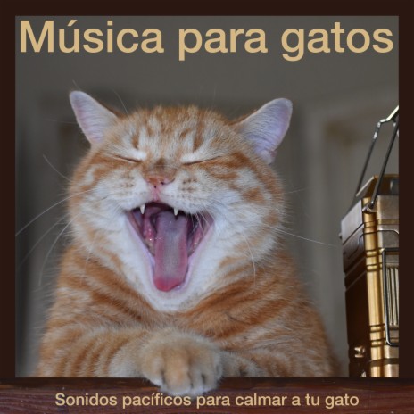 Pequeñas bendiciones ft. Pet Music Therapy | Boomplay Music