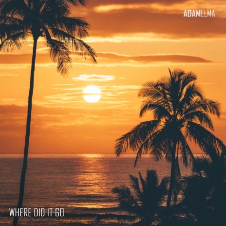 Where Did It Go | Boomplay Music