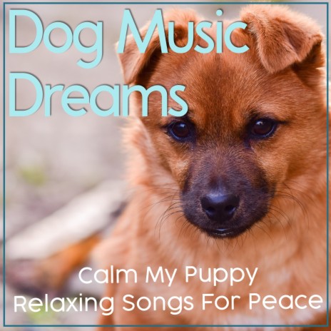 Wagging Tail ft. Dog Music & Dog Music Therapy