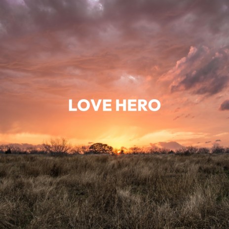 Love Hero | Boomplay Music