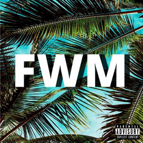FWM (feat. SwavyDre & Underrated K) | Boomplay Music