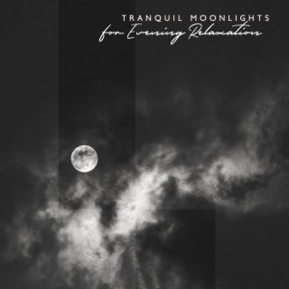 Tranquil Moonlights for Evening Relaxation: Soothing Lullabies for Sleep, Beautiful Soundscapes, Calm Dreams