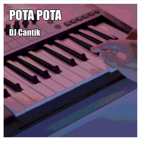 Pota Pota | Boomplay Music