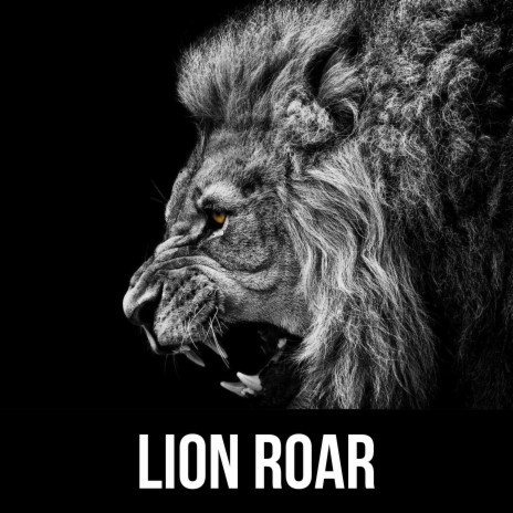 Lion Roar | Boomplay Music