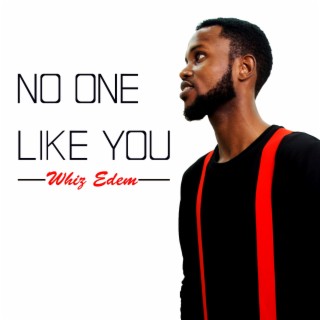 No One Like You