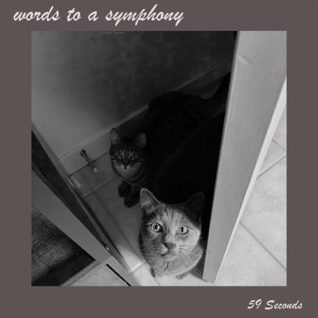 words to a symphony | Boomplay Music