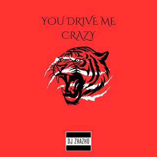 YOU DRIVE ME CRAZY