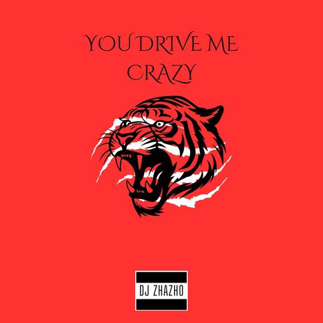 YOU DRIVE ME CRAZY | Boomplay Music