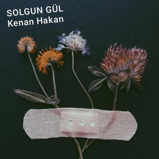 Solgun Gül