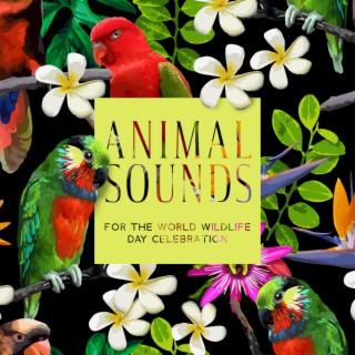 Animal Sounds for the World Wildlife Day Celebration - Exotic Jungle Ambient, Wild Animals, Bird Song, Energizing Mood, Deep Connection with Nature, Liberating, Sense of Freedom