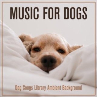 Music For Dogs: Dog Songs Library Ambient Background