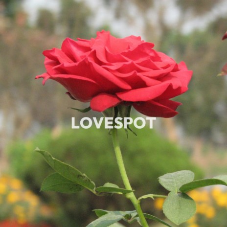 Lovespot | Boomplay Music