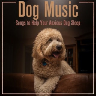 Dog Music: Songs to Help your Anxious Dog Sleep