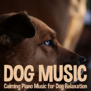 Dog Music: Calming Piano Music for Dog Relaxation