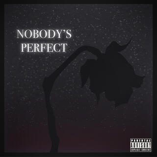 Nobody's Perfect