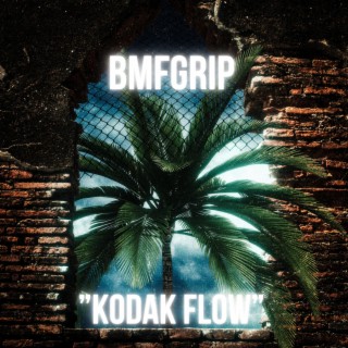 Kodak flow