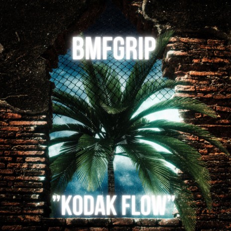 Kodak flow | Boomplay Music