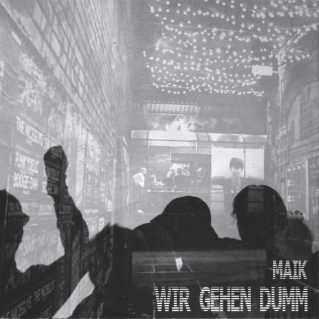 Wir gehen dumm | Boomplay Music