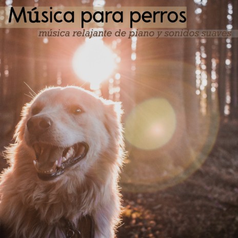 Marcando tu territorio ft. Pet Music Therapy | Boomplay Music