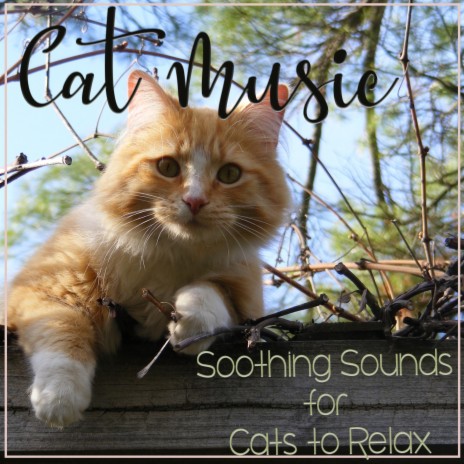 Crystal Seas ft. Cat Music Therapy & Cat Music Waves | Boomplay Music