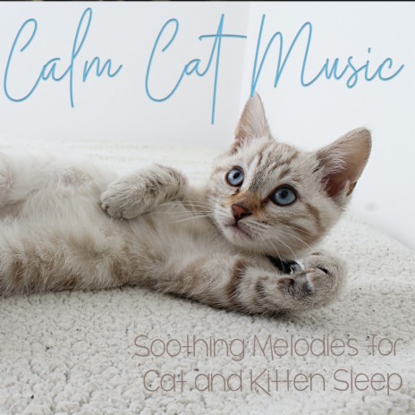 Cat Sleep Music ft. Cat Music Dreams & Cat Music Therapy