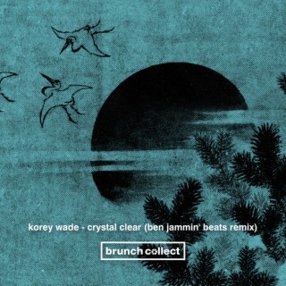 Crystal Clear (Ben Jammin' Beats Remix)