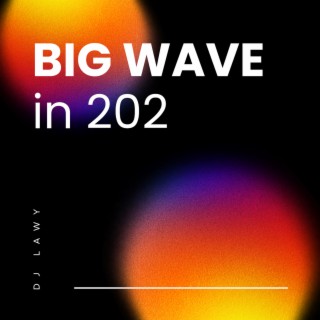 BIG WAVE IN 202 (Mixed)