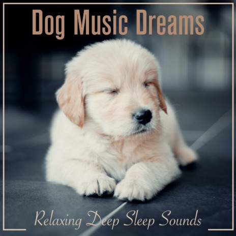New Puppy Smell ft. Dog Music & Dog Music Therapy