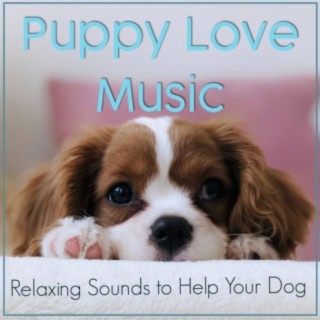 Puppy Love Music: Relaxing Sounds to Help Your Dog