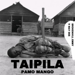 Taipiila Pamo Mango