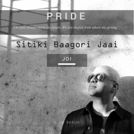 Sitiki Baagori Jaai | Boomplay Music