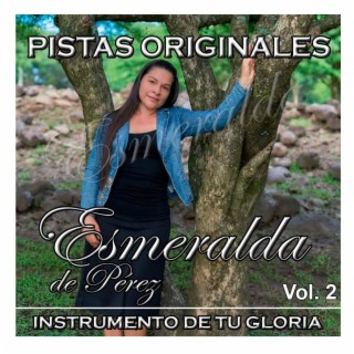 Instrumento de Tu Gloria (Pistas)