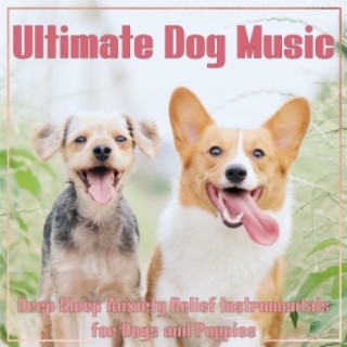 Ultimate Dog Music: Deep Sleep Anxiety Relief Instrumentals for Dogs and Puppies