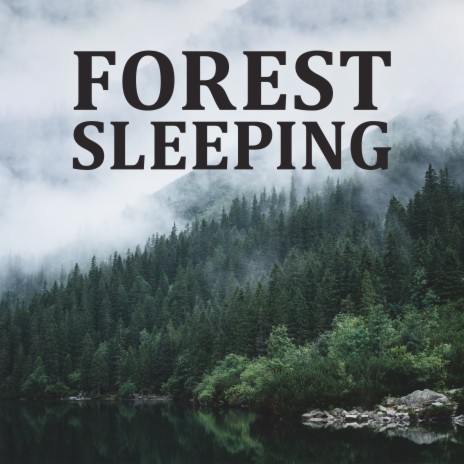 Forest House ft. Deep Sleep Music Masters | Boomplay Music