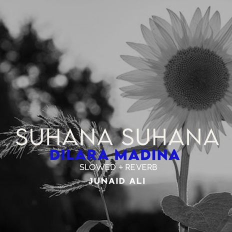 Suhana Suhana Dilara Madina Lofi | Boomplay Music