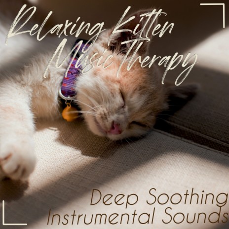 Cat Sleep Track ft. Cat Music Dreams & Cat Music Therapy