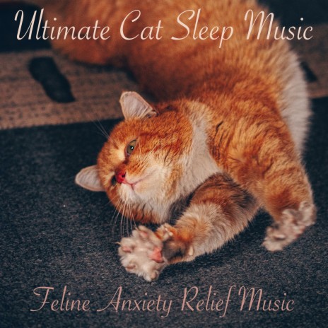 Songs for Cats ft. Cat Music Dreams & Cat Music Therapy