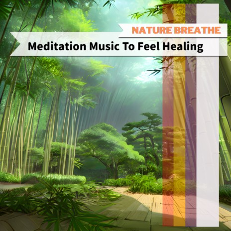 Songs for Healing | Boomplay Music