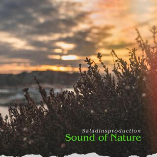 Sound of Nature