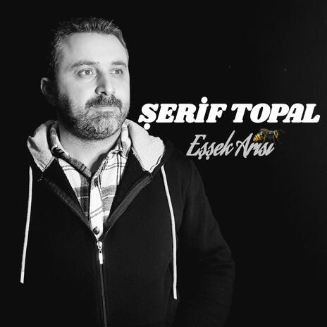 Şerif Topal Eşşek Arısı | Boomplay Music