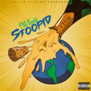 Stoopid (feat. Big JLD)