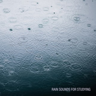 Rain Sounds for Studying - Meditation Flute & Piano Music for Study Time and Exam Analysis, Concentration Music for Students