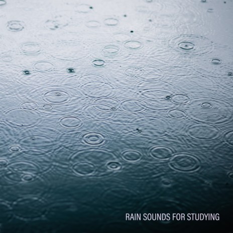 Rain Sounds to Sleep | Boomplay Music